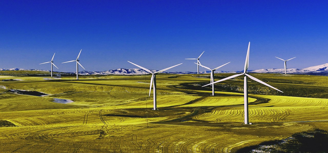 Coillte将以近1.25亿欧元的价格出售其风力发电场的股份