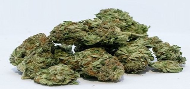 康涅狄格州在大麻合法化方面取得了首次立法胜利