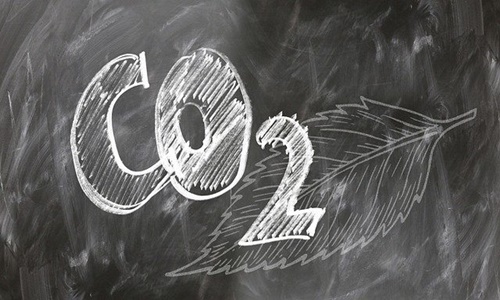 GridPoint与TimberRock合作，为企业简化碳排放管理